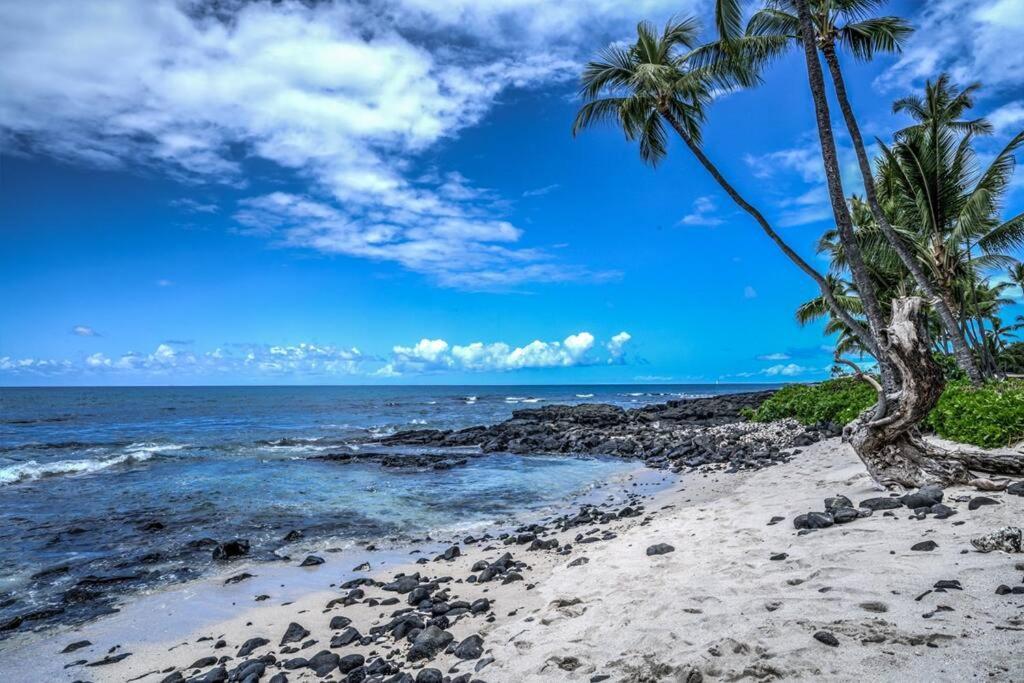 Newly Upgraded 1Br Unit Near Beach Max Of 5 Guests Kailua-Kona Exterior foto